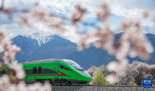 新华社记者 江宏景 摄4月4日体育集锦