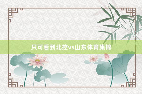 只可看到北控vs山东体育集锦